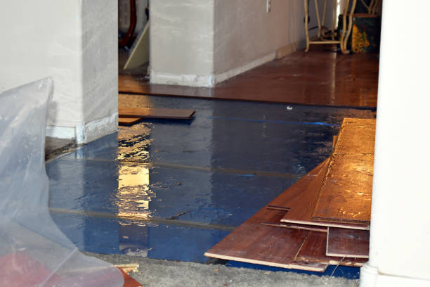 Professional Water Damage Restoration technician working in Itasca, IL